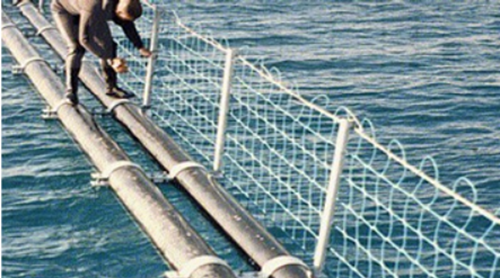 Service Image
